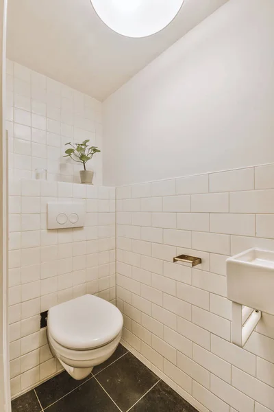 Interiör Liten Ren Toalett Miniatyr Stil — Stockfoto