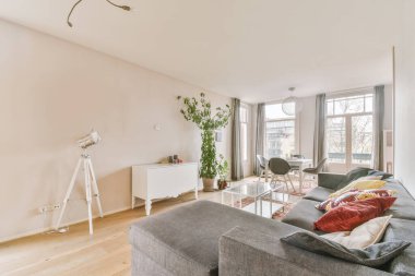 Çağdaş dairede rahat kanepesi ve pencereleri olan oturma odası.