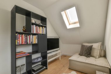 Televizyon ve dekorasyonlu kitaplıkların yanına kurulmuş rahat bir kanepe modern apartmandaki hafif oturma odasında.