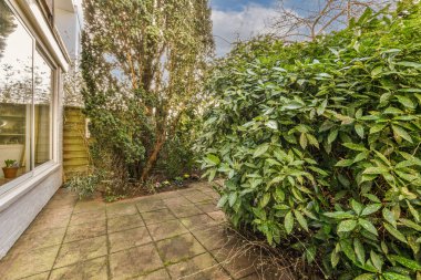 Geniş konforlu ve bakımlı bahçe ve güzel süs bitkileri.