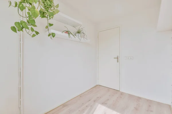 White empty room with parquet floor and white walls with shelf and green plants