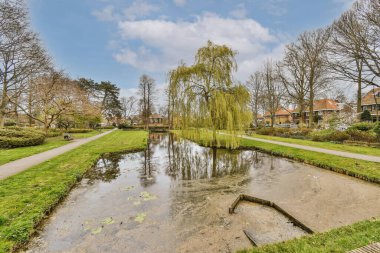 Arabaları, ağaçları ve fenerleri olan boş bir kaldırımdan panorama manzaralı evler.