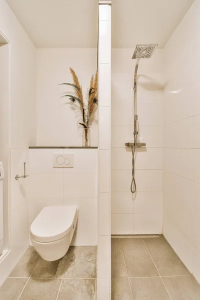 Wall Partition Shower Tap Wall Hung Toilet Modern Restroom Home — Fotografia de Stock