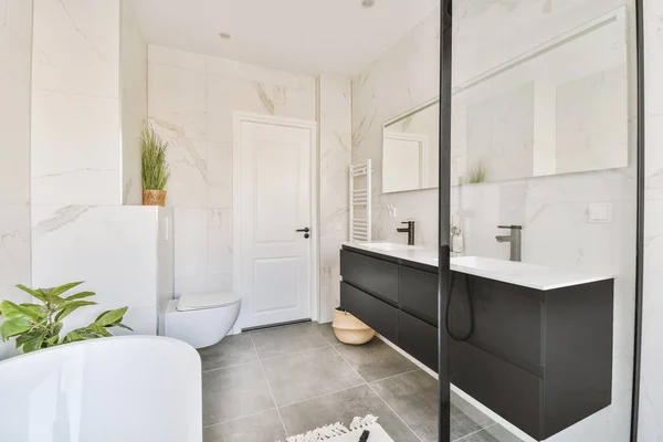 Interior Modern Stylish Bathroom Interior Design White Toilet Tub Sinks — 스톡 사진