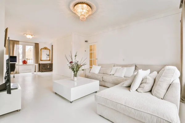 在现代公寓里 有舒适的沙发和靠垫放在地毯上的扶手椅的时髦客厅的内部 — 图库照片