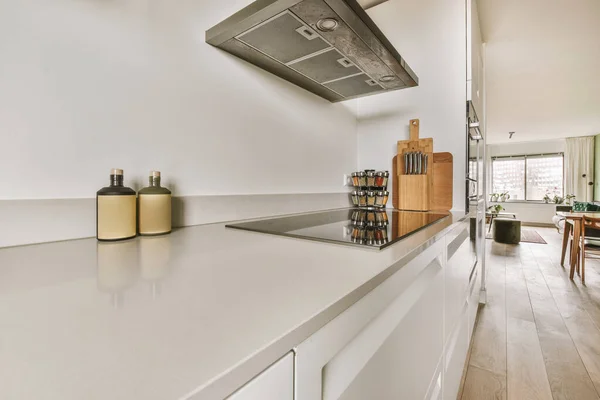 Interior Light Kitchen Modern Cupboards Appliances Modern Flat Daytime — Foto Stock