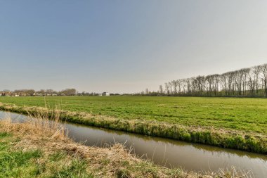 Binaya yakın bir cadde manzarası, dışarısı çok güzel.