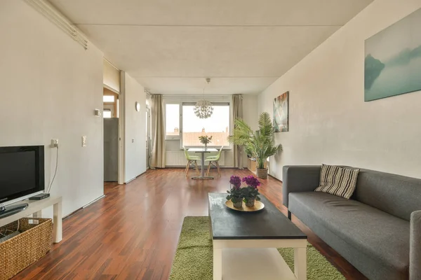 Square table placed on mat near couch and TV in stylish living room of contemporary apartment