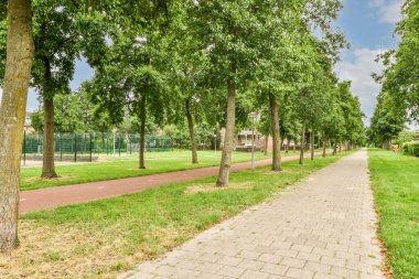 Binaya yakın bir cadde manzarası, dışarısı çok güzel.