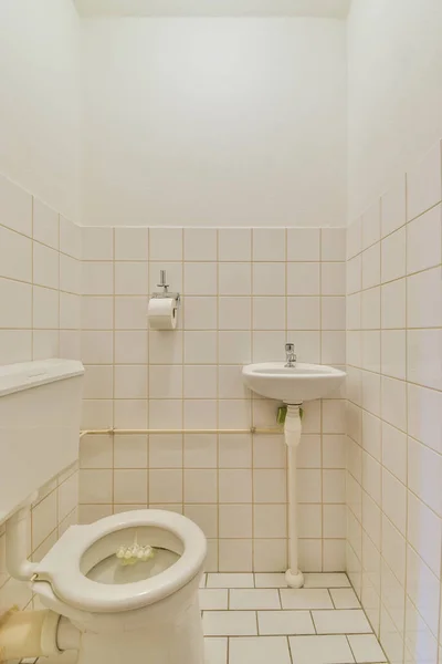 Εσωτερικό Στενό Μπάνιο Νεροχύτη Και Τουαλέτα Φλος Βρίσκεται Λευκούς Τοίχους — Φωτογραφία Αρχείου