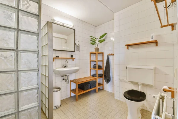 Flush Nachází Mezi Umyvadlem Sprchovým Koutem Malé Kachlové Koupelně Moderního — Stock fotografie