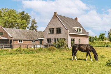 Ağaçlar ve fenerlerle dolu boş bir kaldırım sokağından tuğla evler manzarası