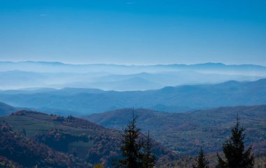 Sis ile ormanlık dağ Slope'da renkli gündoğumu