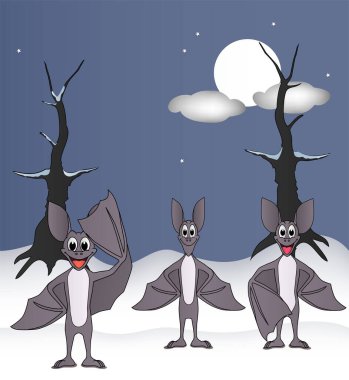 Yarasalar kış tatilini karşılamak için gece poz veriyorlar.