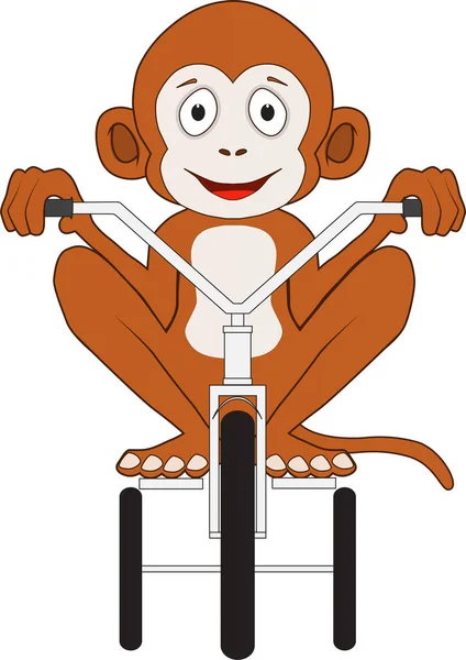 Cartoon Funny Monkey Bicycle — Vector de stock