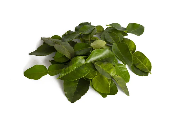 Kaffir Lime Isolated White Backgroun — Stok fotoğraf