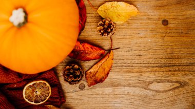 Kopya alanı ile sonbahar ve Cadılar Bayramı pankartı konsepti