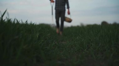 Genç erkek çiftçi buğday tarlalarında yürüyor 