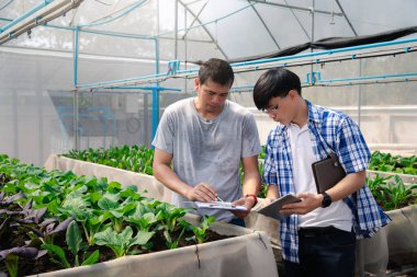 Akıllı tarım teknolojisi konsepti - Çiftçi bitki yetiştirme serasında organik sebzeleri izliyor. Akıllı tarım teknolojisi.