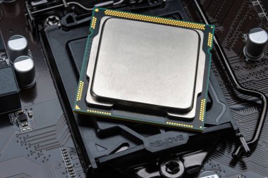 İşlemci yuvaya yerleştirilmeden önce ana kartın üzerinde duruyor..