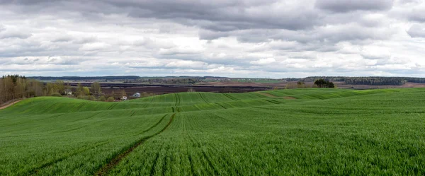 Panorama Gran Campo Agrícola Verde Montañoso Sobre Cielo Nublado Pueblo — Foto de Stock