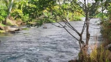 Sabit su akışı. Nehirlerde rafting. Nehir suyunun güzel manzarası