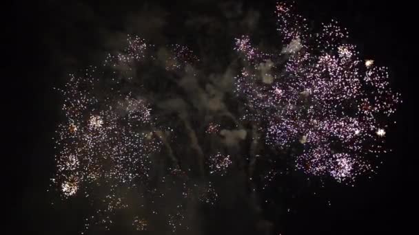 Los fuegos artificiales saludan las explosiones. Movimiento lento — Vídeos de Stock