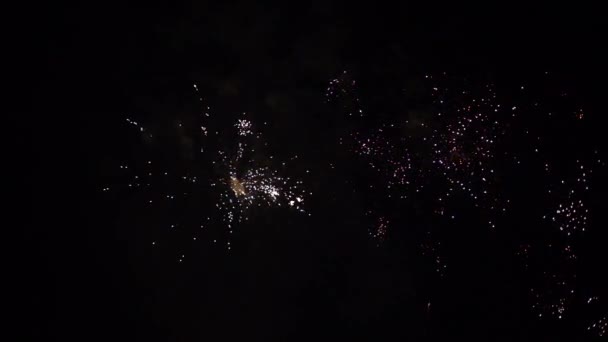Les feux d'artifice saluent les explosions. Mouvement lent — Video