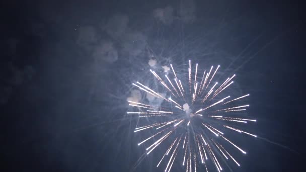 Πυροτεχνήματα χαιρετίζουν εκρήξεις. Αργή κίνηση — Αρχείο Βίντεο