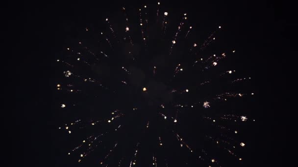 Les feux d'artifice saluent les explosions. Mouvement lent — Video