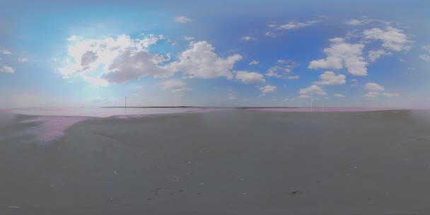 乌克兰的5K 360 VR粉红治疗盐湖 — 图库视频影像
