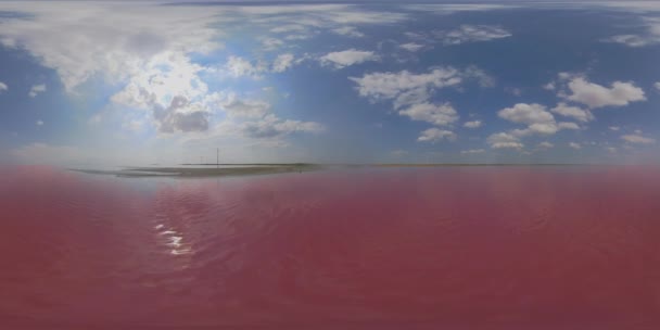 5K 360 VR Lago de sal de cura rosa na Ucrânia — Vídeo de Stock