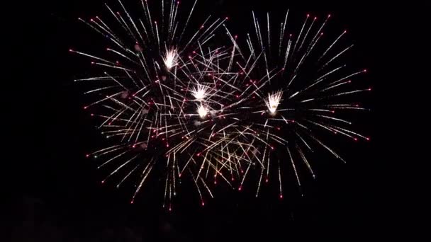 Explosiones de fuegos artificiales nocturnos en el cielo — Vídeos de Stock