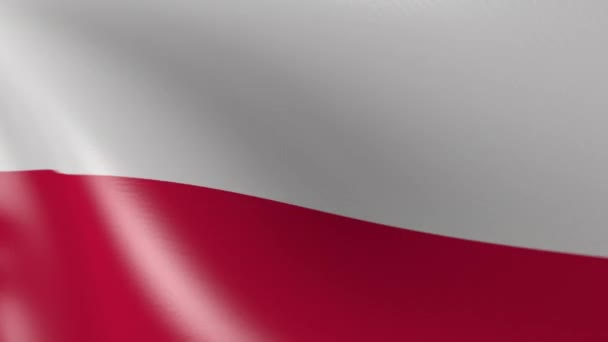 Η σημαία της Πολωνίας κυματίζει στον άνεμο. 3d κινούμενα σχέδια — Αρχείο Βίντεο