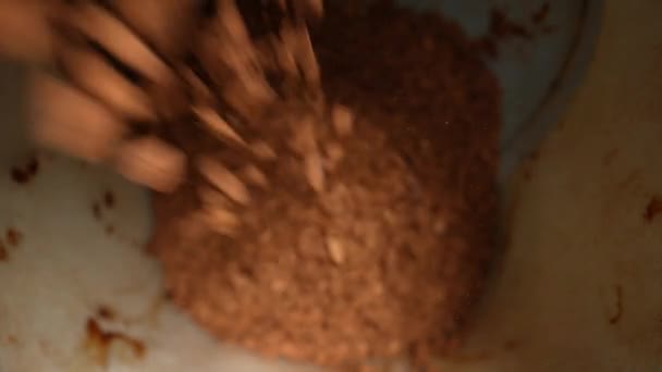 Instant coffee granules. slow motion — Stock Video