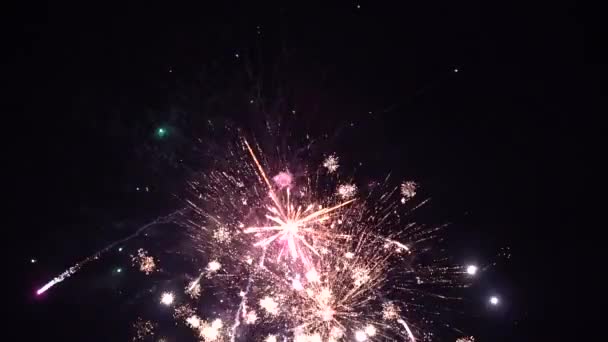 Nachts Explodieren Feuerwerkskörper Himmel Zeitlupe — Stockvideo