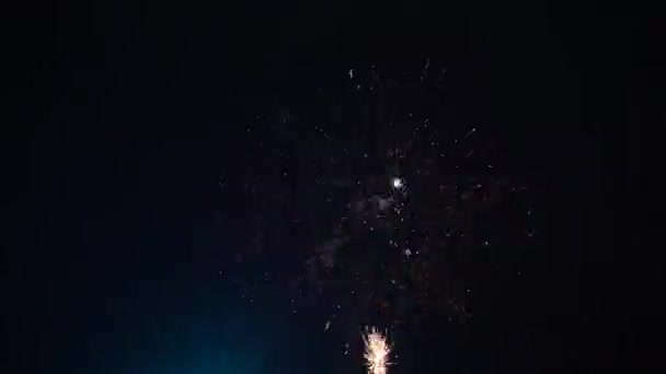 Fuegos artificiales explosiones en el cielo por la noche — Vídeo de stock