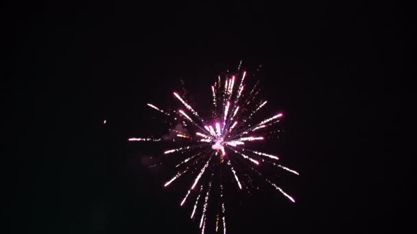 Fuegos artificiales explosiones en el cielo por la noche — Vídeos de Stock