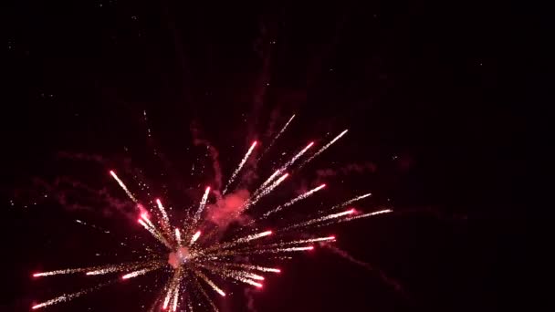 Πυροτεχνήματα εκρήξεις στον ουρανό αργή κίνηση — Αρχείο Βίντεο
