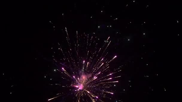 Explosions de feux d'artifice dans le ciel au ralenti — Video