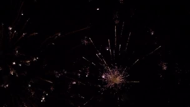 Explosiones de fuegos artificiales en el cielo cámara lenta — Vídeo de stock
