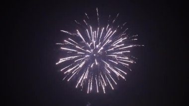 Gökyüzünde havai fişek patlamaları 4K