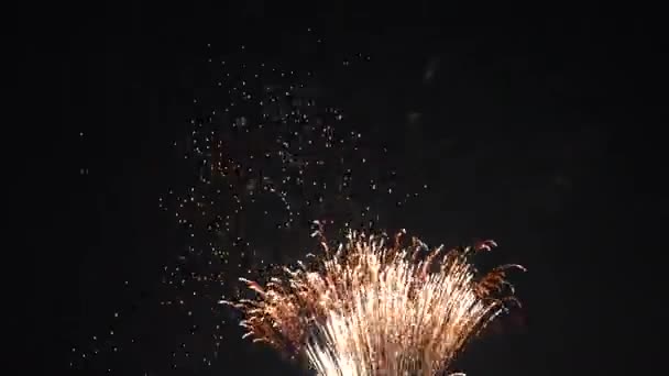 Explosões de fogo de artifício no céu 4K — Vídeo de Stock
