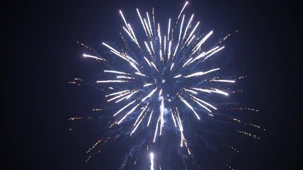 Feuerwerk explodiert am Himmel 4K — Stockvideo