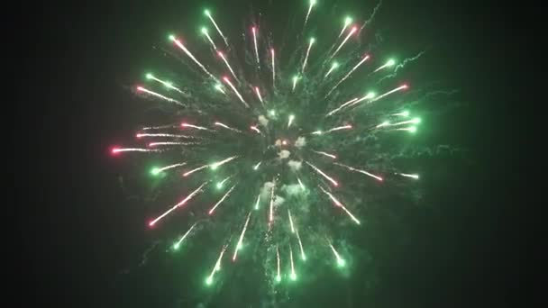 Explosiones de fuegos artificiales en el cielo 4K — Vídeos de Stock