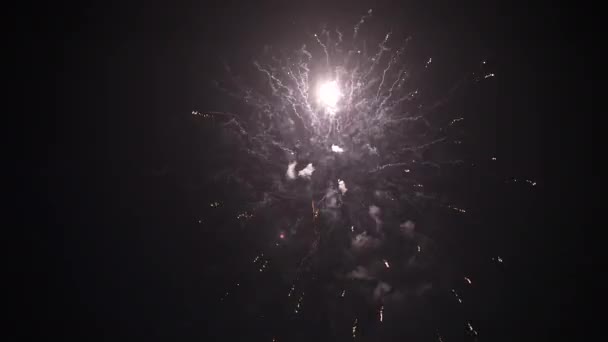 Explosiones de fuegos artificiales en el cielo 4K — Vídeos de Stock