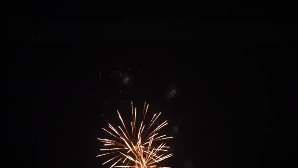 Explosões de fogo de artifício no céu 4K — Vídeo de Stock