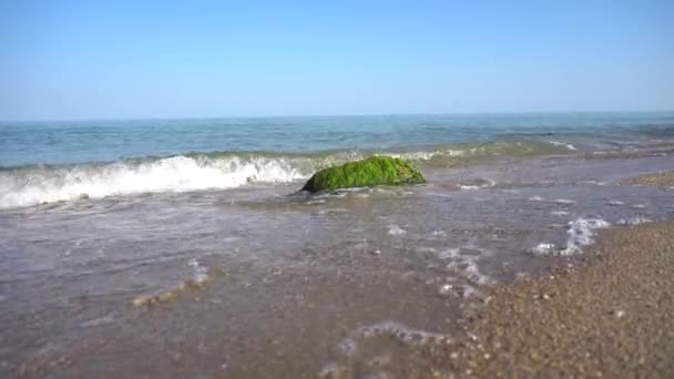 Les vagues de la mer s'écrasent contre le rocher sur le littoral — Video
