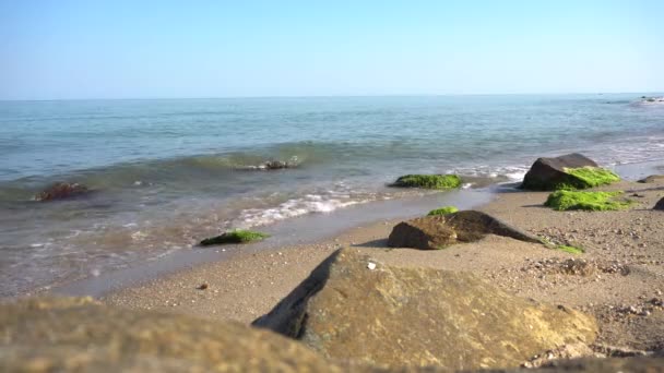 Zeegolven crashen tegen de rots aan de kustlijn — Stockvideo
