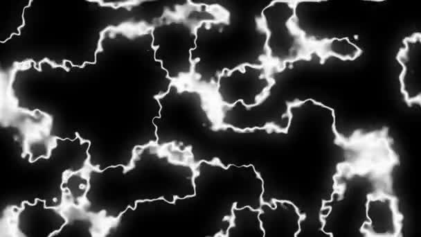 アニメーション要約黒と白の流体波背景 黒と白のマスク — ストック動画